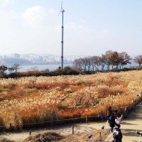 [KOREA] HANEUL PARK (SEOUL WORLD CUP PARK) - Travel Guide