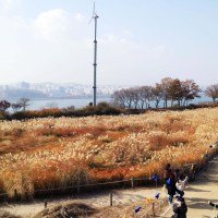 [KOREA] HANEUL PARK (SEOUL WORLD CUP PARK) - Travel Guide