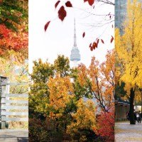 [KOREA] AUTUMN IN SEOUL -  Fall Foliage Destinations and Places to Visit