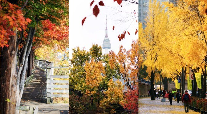 [KOREA] AUTUMN IN SEOUL –  Fall Foliage Destinations and Places to Visit